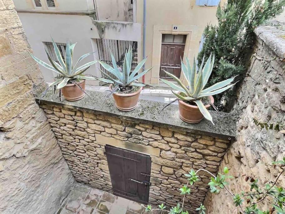 Chez Lydia - Loft Cosy, Depart Canoe A Pied, Proche Pont-Du-Gard Et Uzes Remoulins Exterior photo